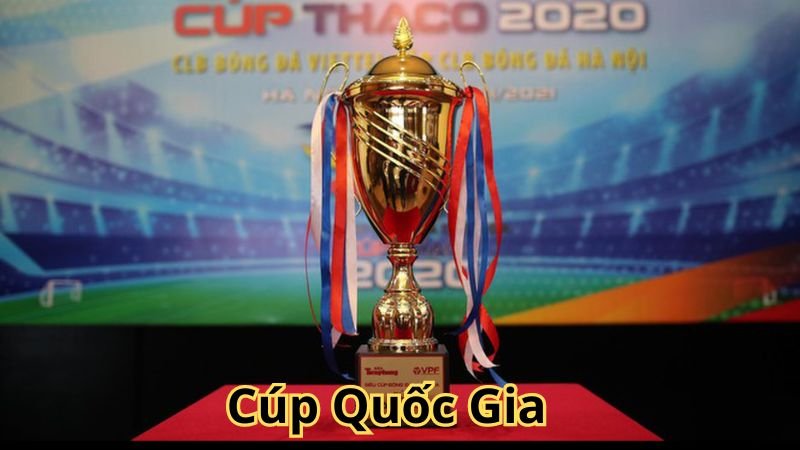 cup quoc gia